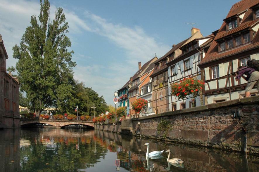 Apartamento Au Buisson De Roses Colmar Exterior foto